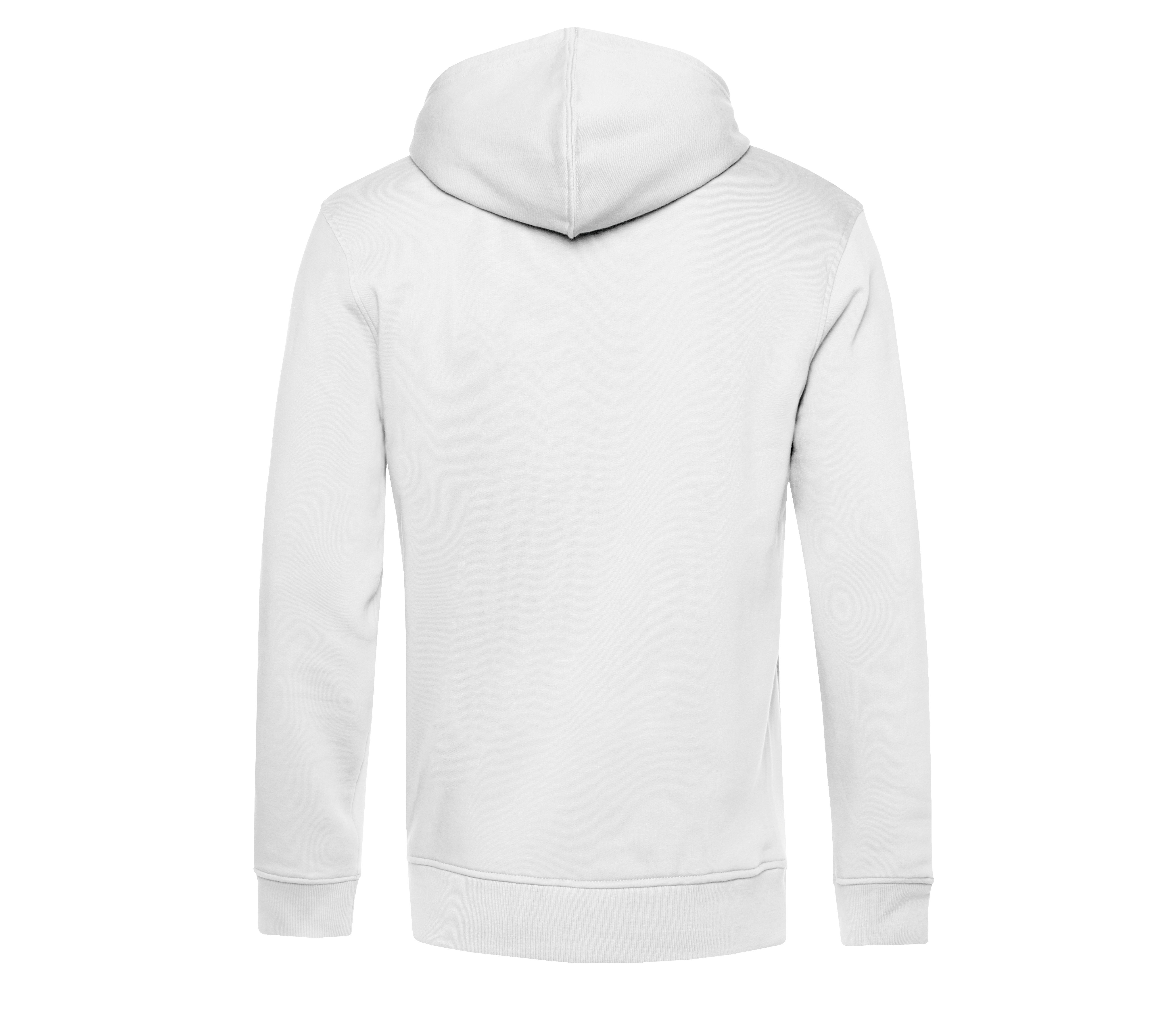 INSPIRE ZIPPED HOOD